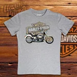 Harley Davidson 008